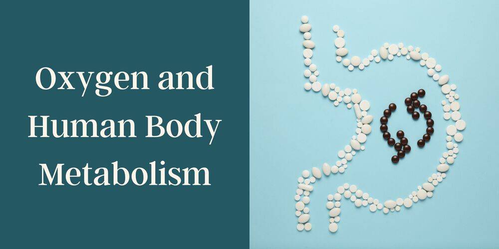 Oxygen and Human Body Metabolism