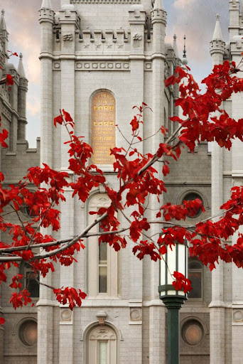 Branch with red leaves in front of the Salt Lake Temple.