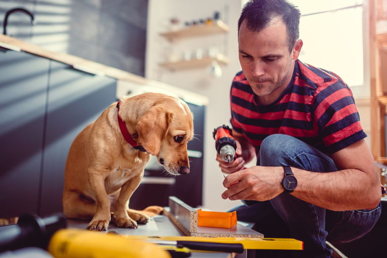 man and dog working on a cabinet DIY home project