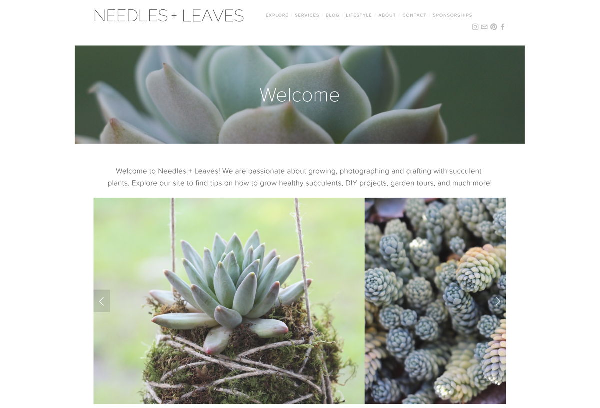 Screenshot of Needles + Leaves, from the squarespace websites  collection.