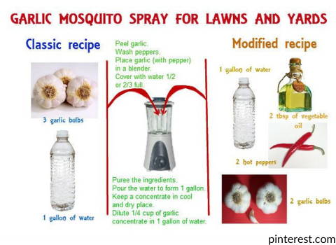 making_mosquito_sprayer