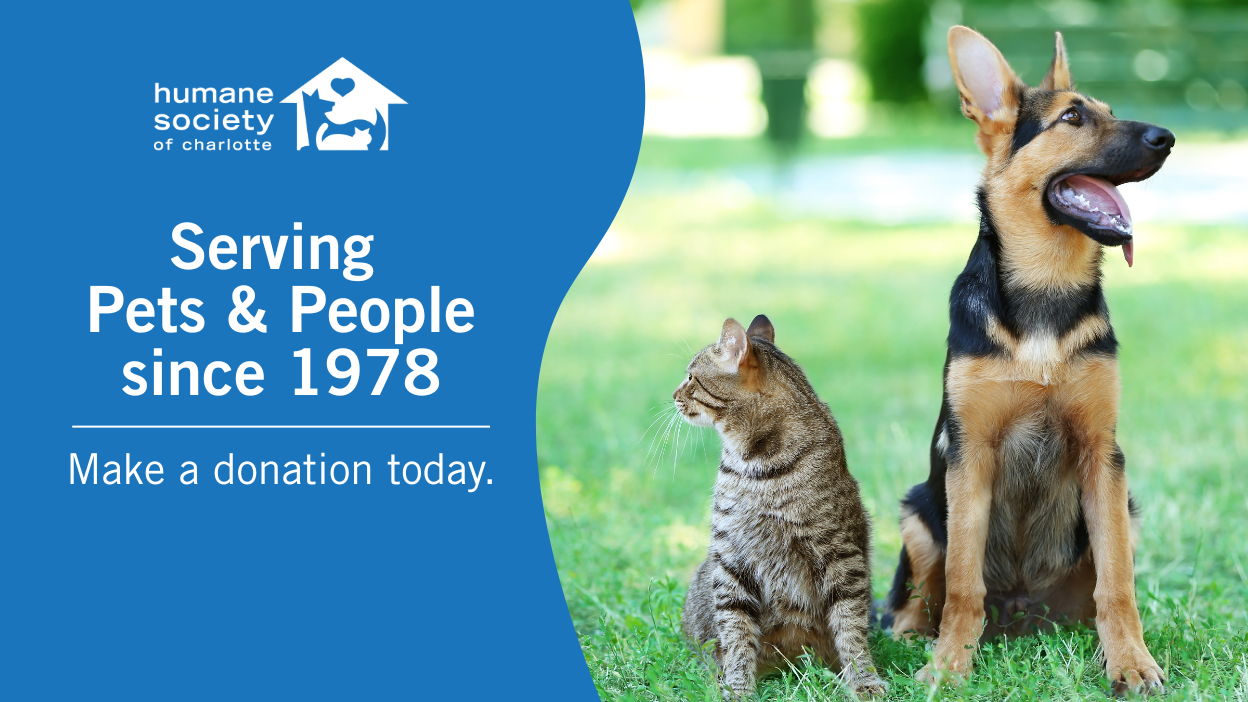 Give now. Pets are counting on you!
