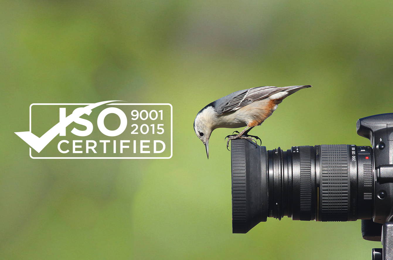 Certificazione ISO 9001-2015 con un uccello sull'obiettivo di una fotocamera