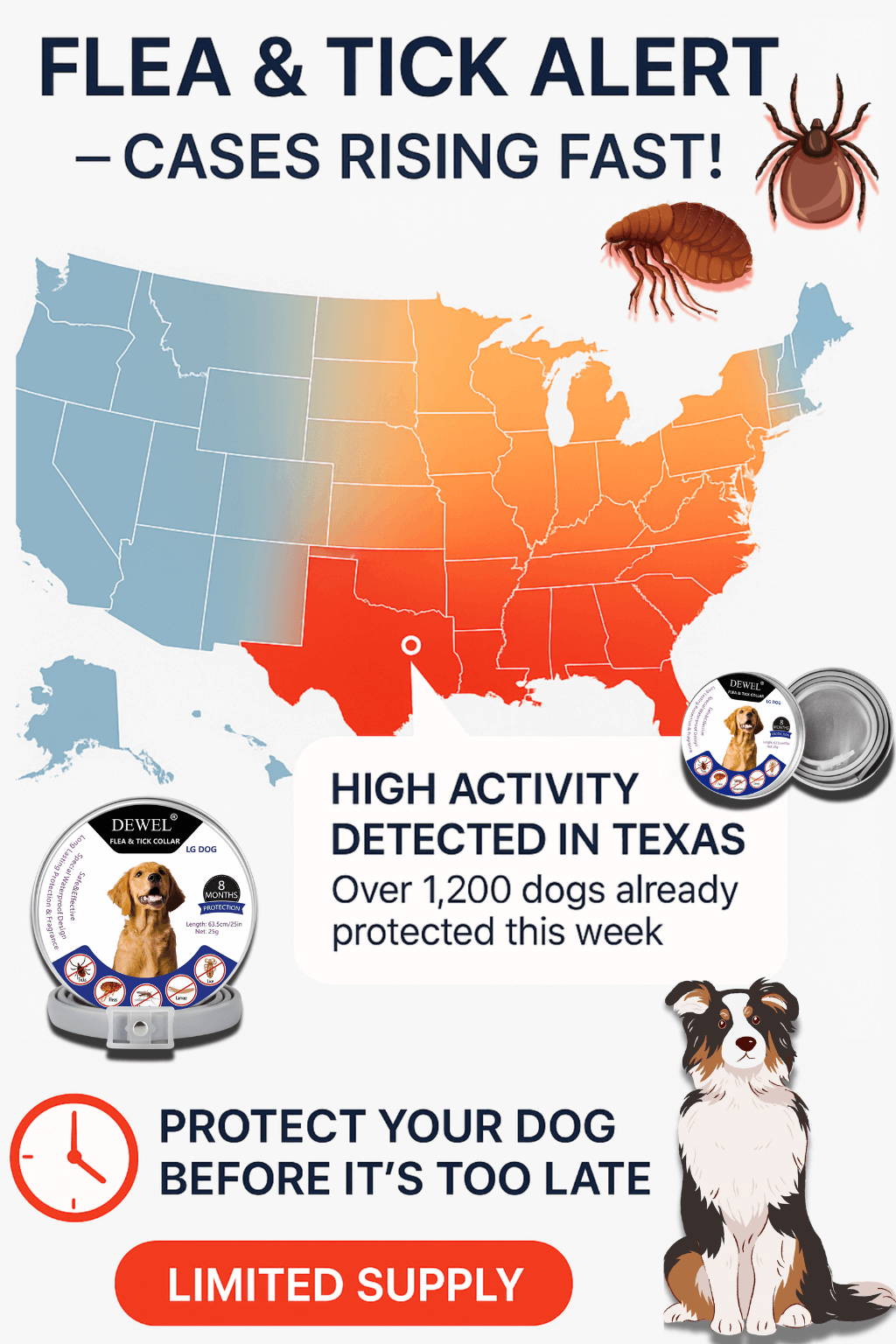 🇺🇸 Your Area Is Now a Flea & Tick Hotspot — Act Fast!