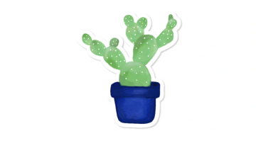 Main Content Image