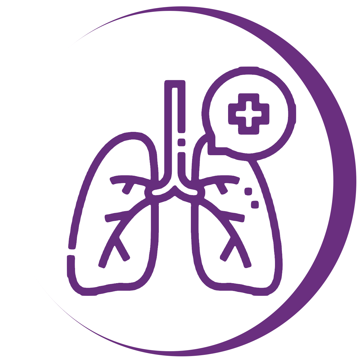 Lungs symbolizing a healthy respiratory system as a benefit of the best probiotics supplements singapore