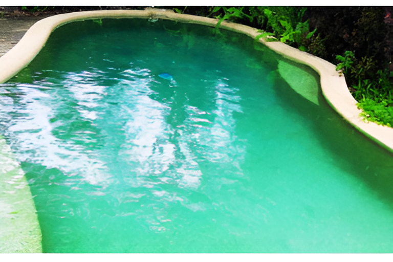 Gizmo’s Pool Care – 6-Month Pool Cleaning Service Package + Chemicals - Image 5