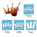 violin, cello, viola, bass