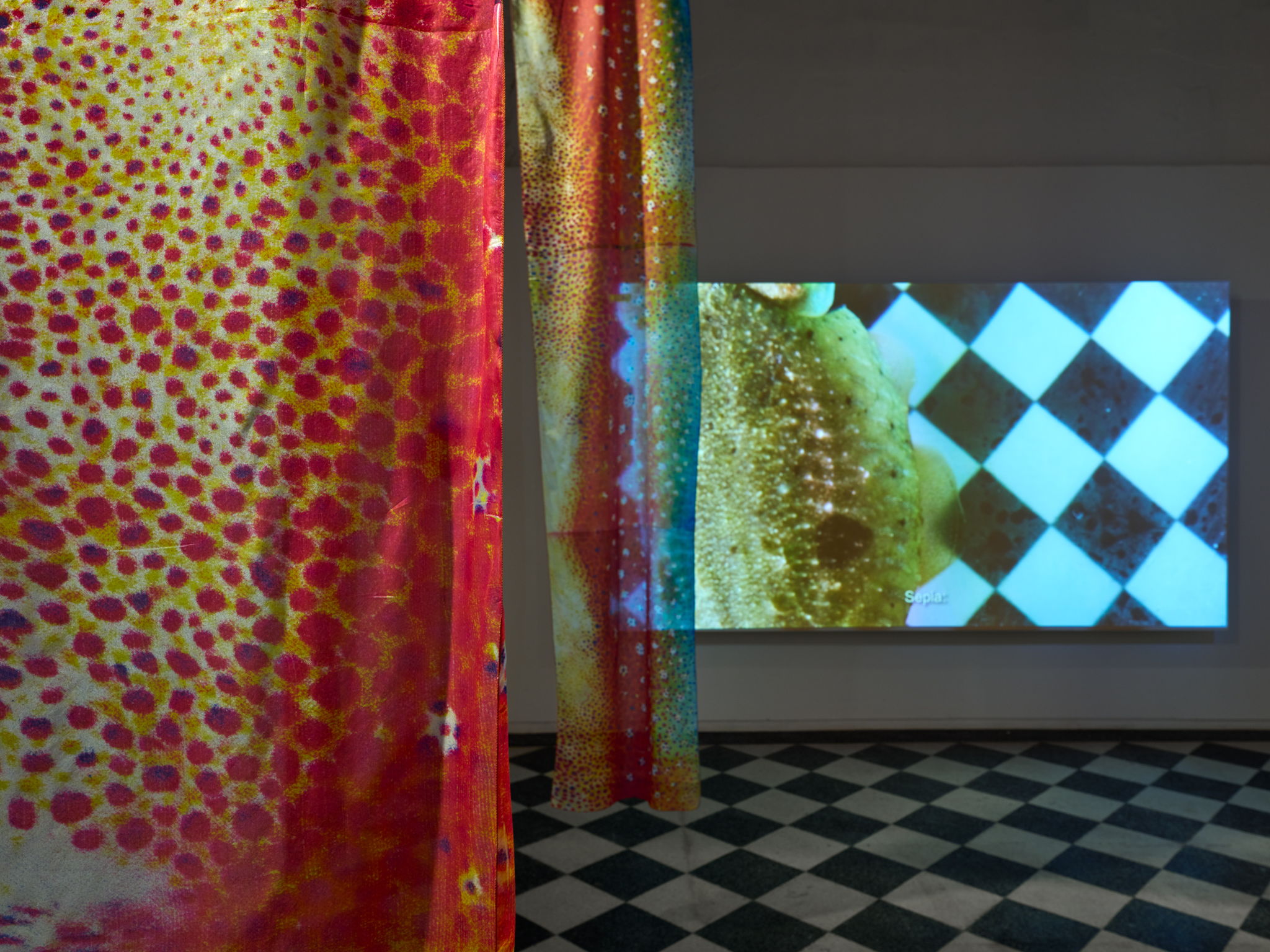 Image for Sea Through Skin (Exhibition view Extra City September 2025 - January 2026) © We Document Art