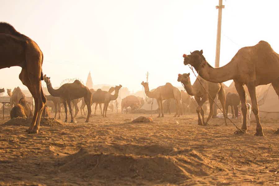 From Fujairah Safari: 4x4 Desert Safari with BBQ Dinner - photo 2