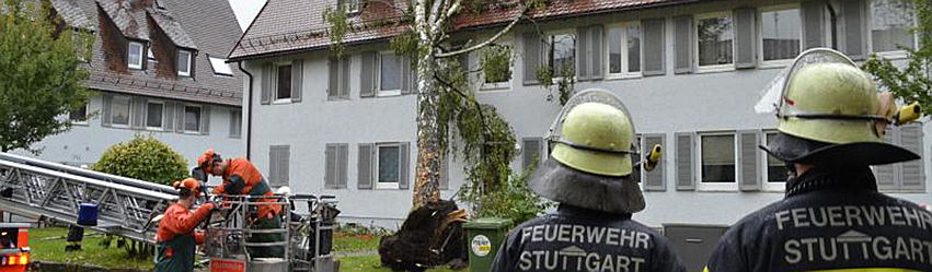  Minden
- Umgestürzte Bäume können durchaus Schaden anrichten. Hier schützt eine Gebäudeversicherung. Foto: Andreas Rosar
