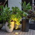 Inground light by Havit uplighting the potted plants on the deck.