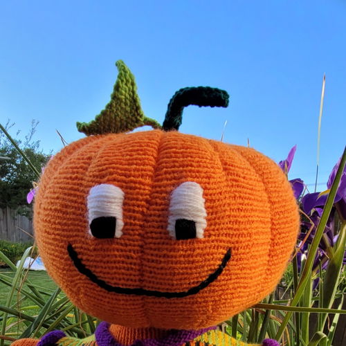 Pumpkin cutie toy in 8 ply yarn