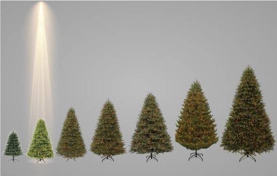 6 - 6.5 ft prelit artificial Christmas trees