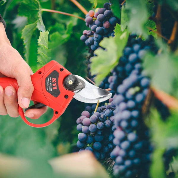 Electric telescopic pruning shears