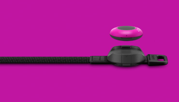 バンドとグリップ