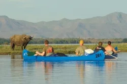 10 Day Lower Zambezi Canoeing and Kafue National Park Safari
