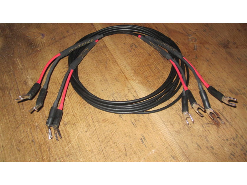 Audience Au24 Speaker Cables 2.5m with spades