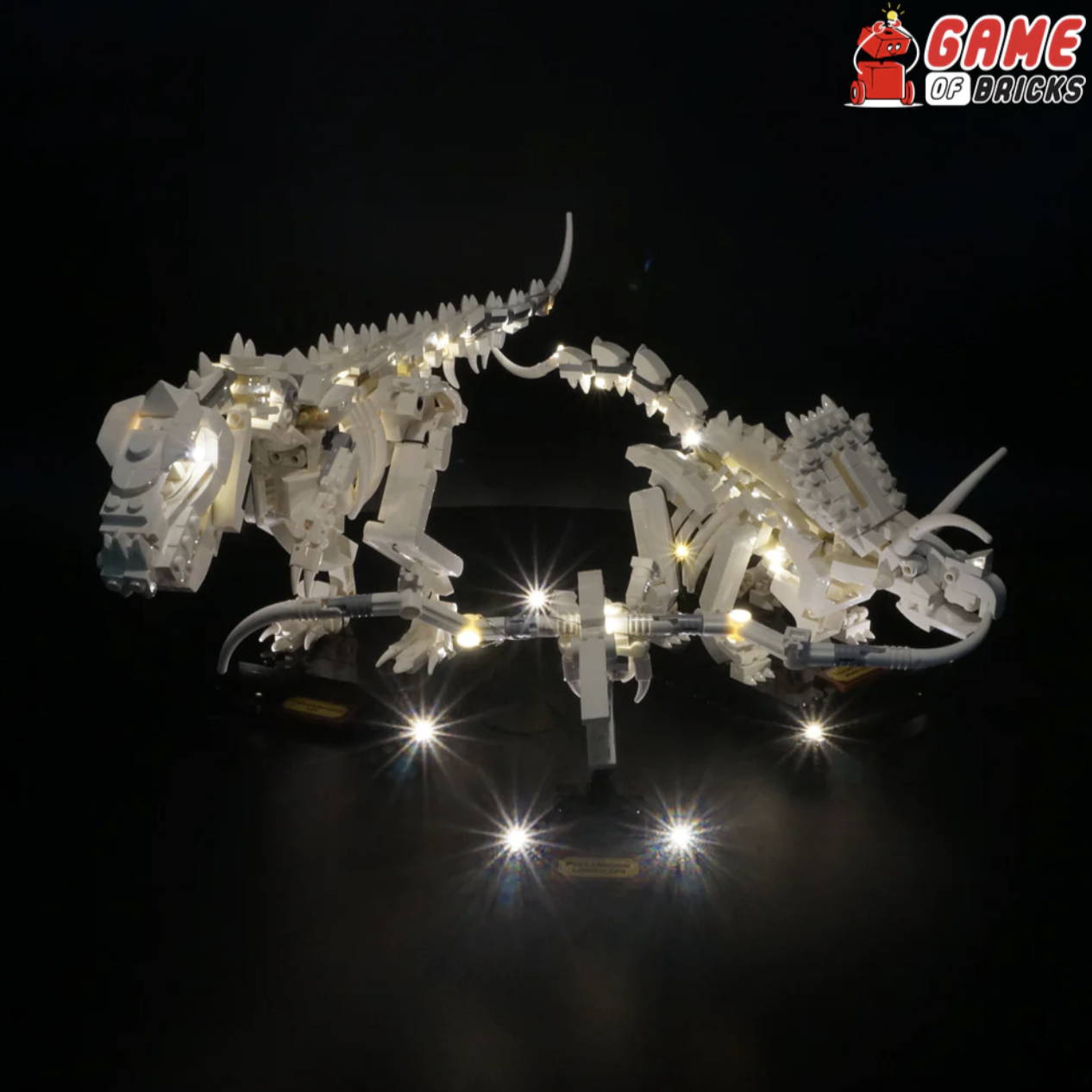 Light Kit for Dinosaur Fossils 21320