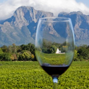 Cape Town Winelands Tour