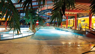 bg wonnemar sonthofen erlebnisbad innen palmen und becken