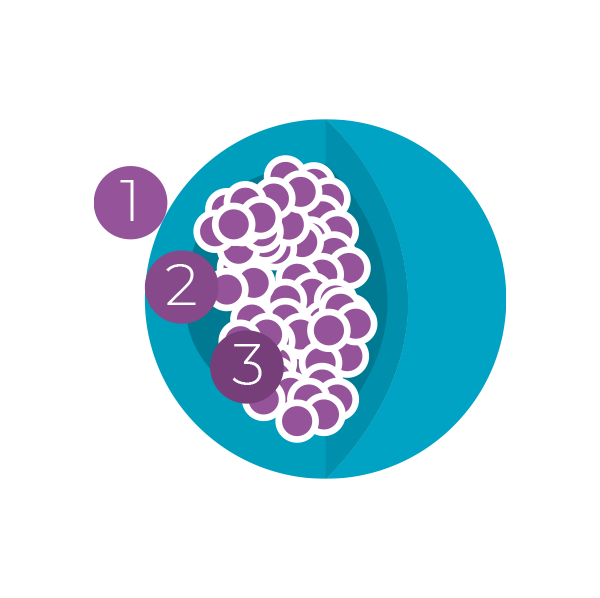 Reasons to choose nano singapore's Vitamin K2 with D3 Bone and Heart Health Supplement
