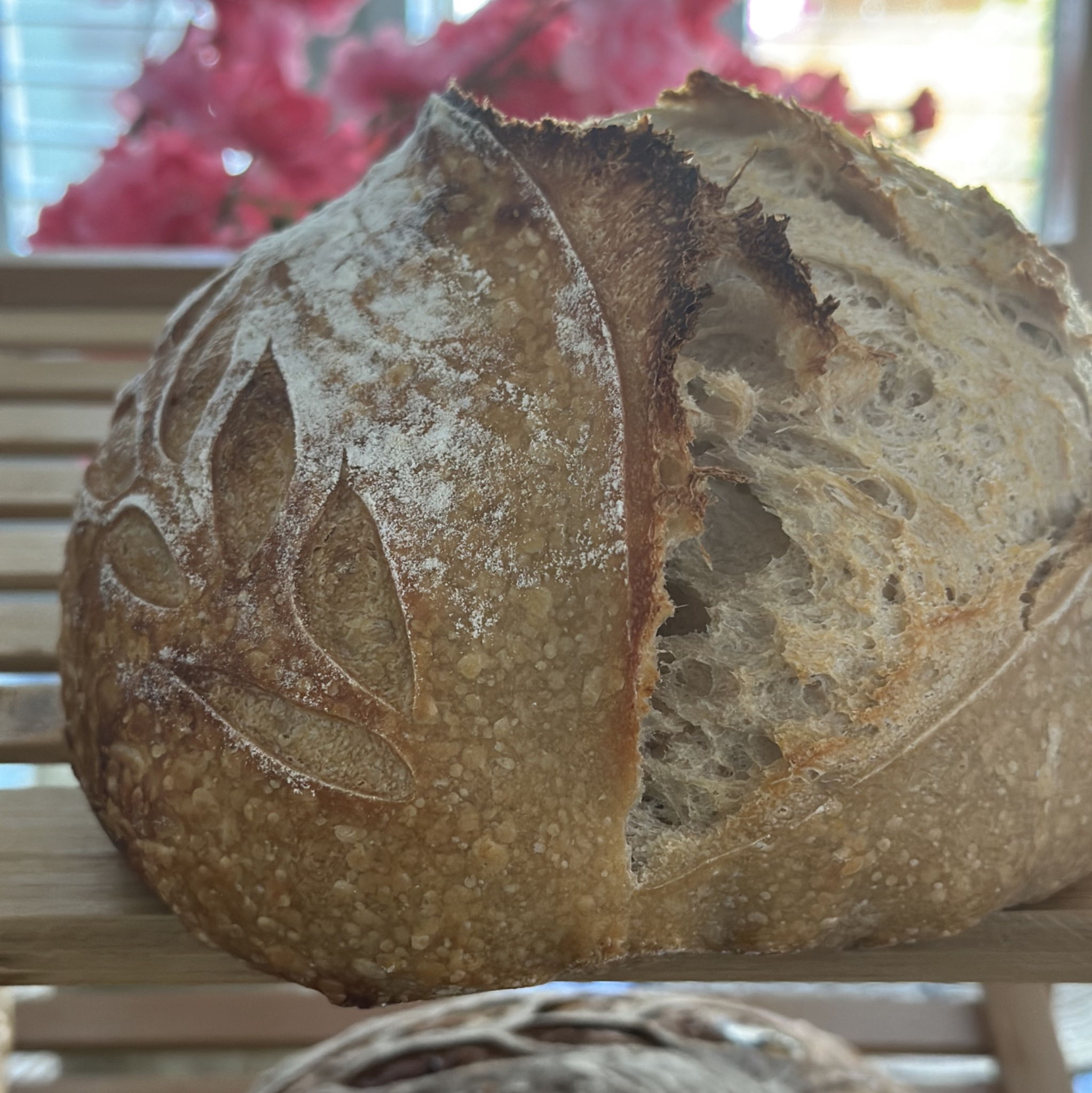 BC Bakery — photo from hotplate.com