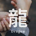屬龍