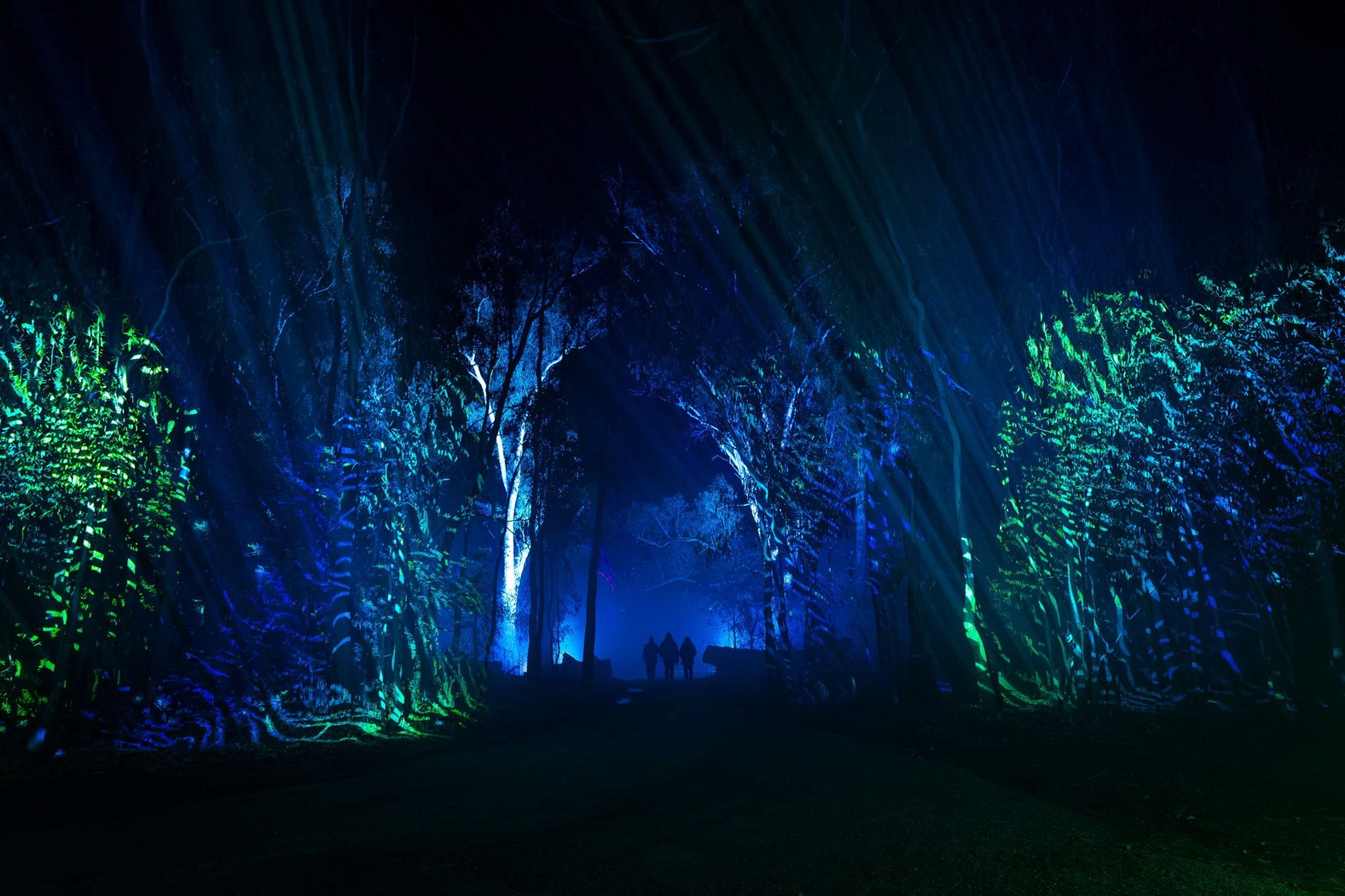 Bullanginya Dreaming Voucher - Image 11