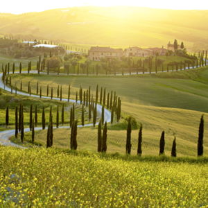 Chianti Experience para 2