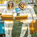 beekeepers_learning_hive_maintenance
