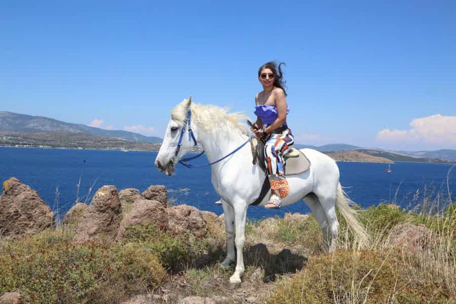 Bodrum: Horse Riding Experience with Forest or Seaside Route - photo 6