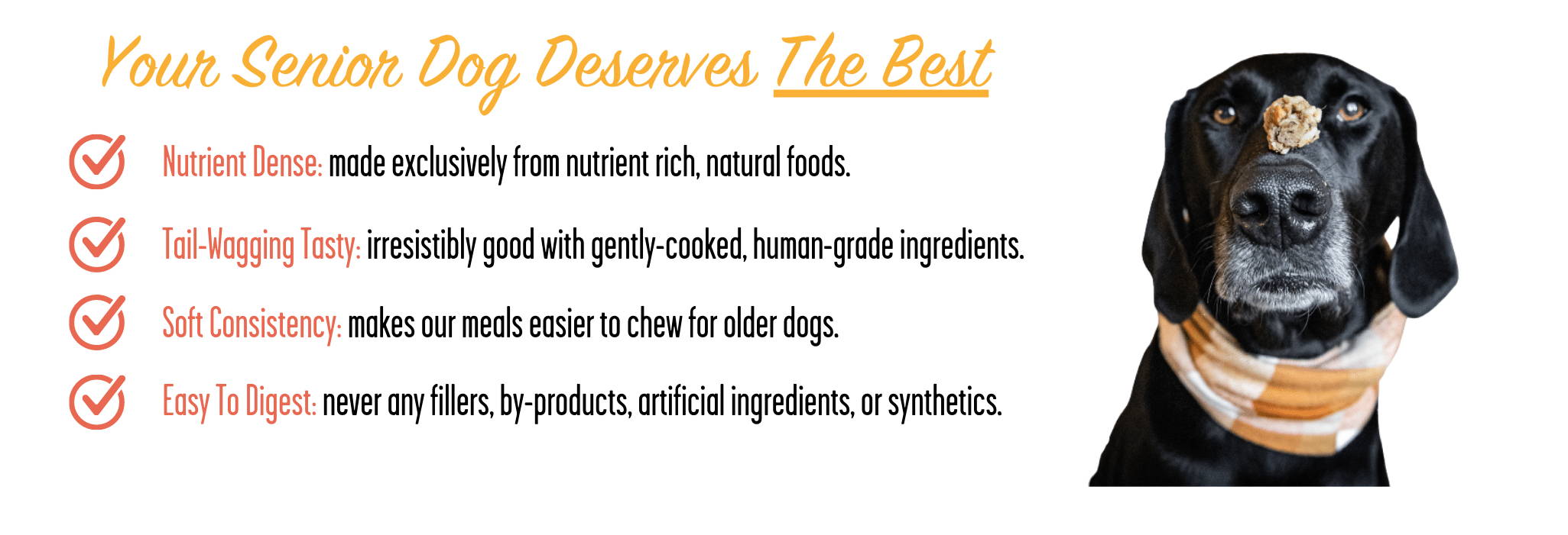 A list of what makes Portland Pet Food's all natural toppers the best dog food for senior  dogs.