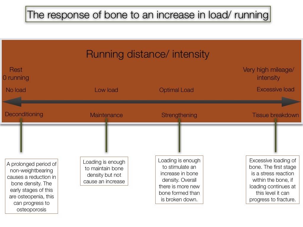 Bone stress in runners