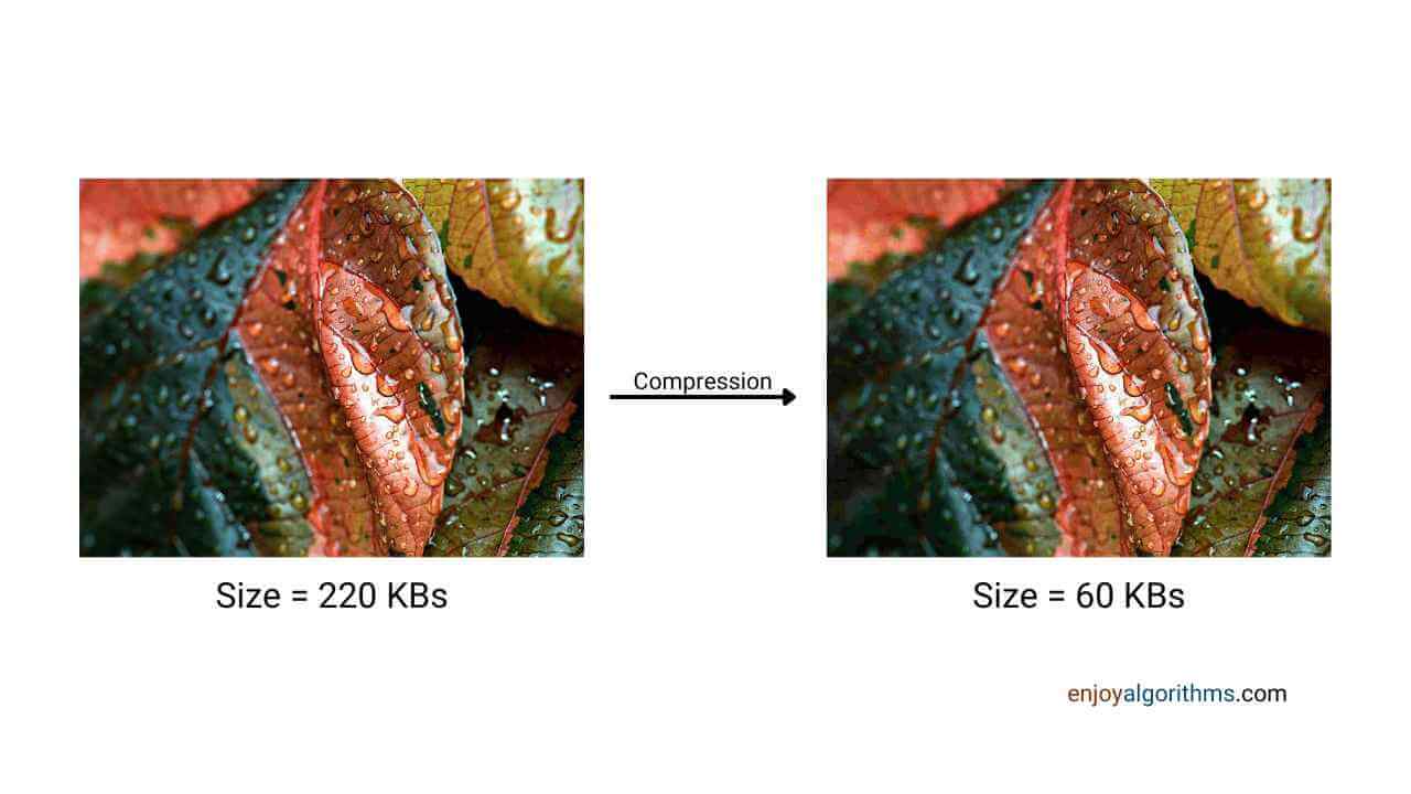 comparison of original image size vs compressed image size