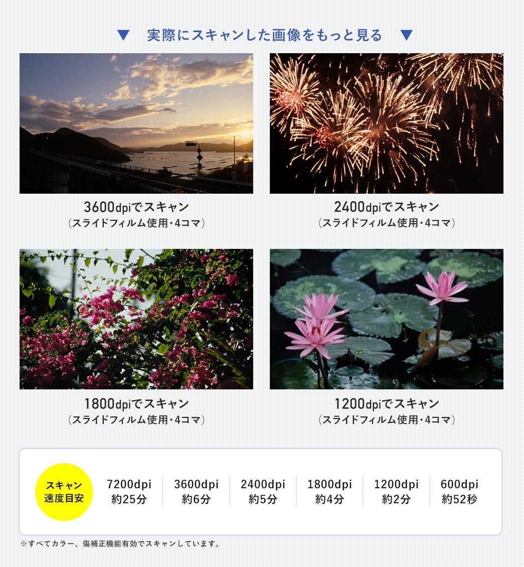 実際にスキャンしたもの