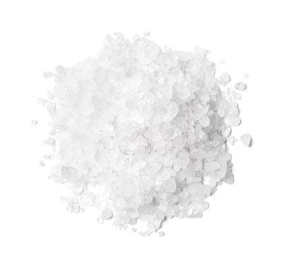 Trulean Premium Protein Powder - Sea Salt