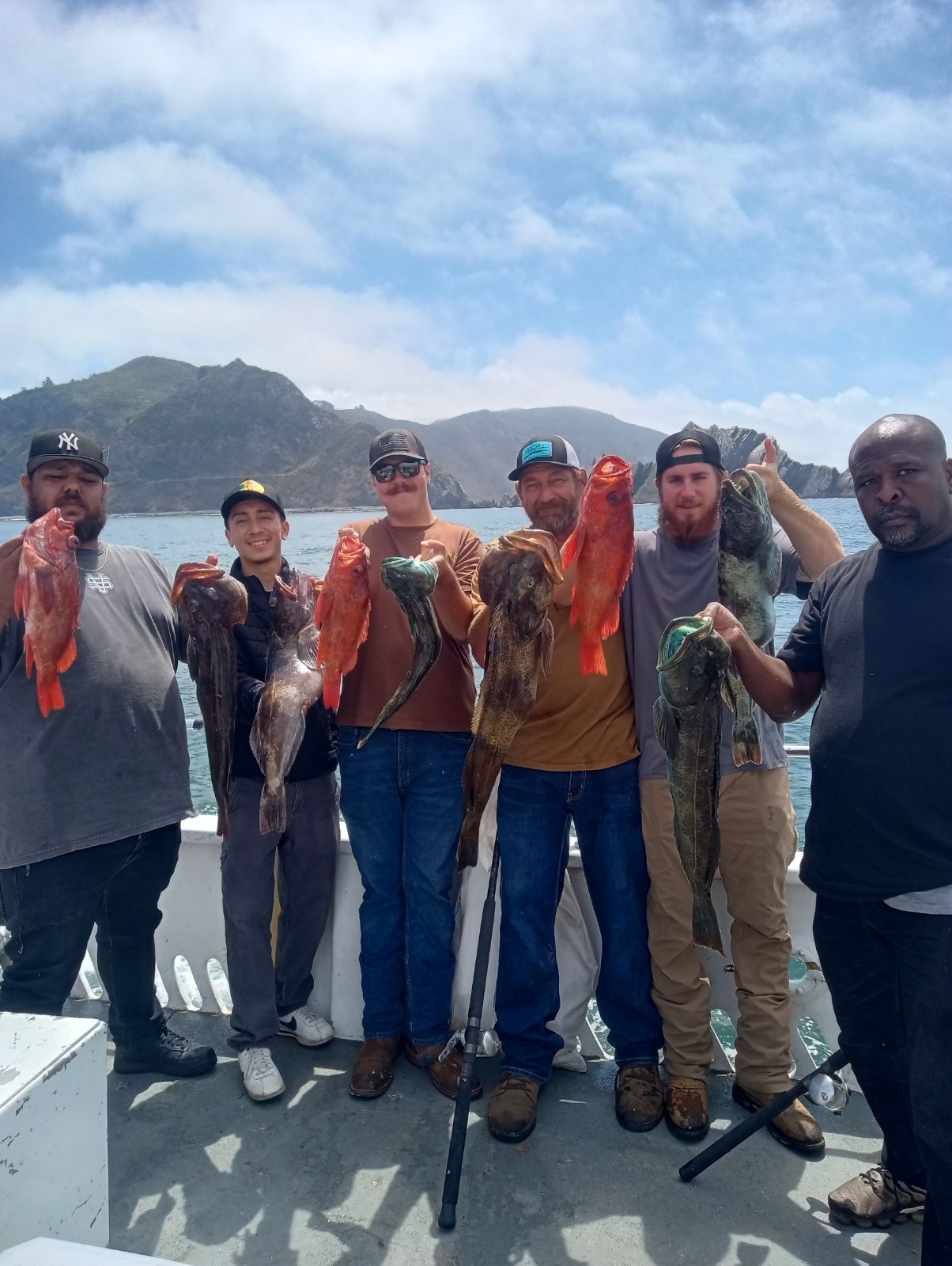 Rock and Ling Cod Combo
