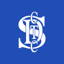 St Davids Cricket Club logo