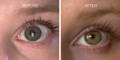 Nulastin Lash Serum Results Before After