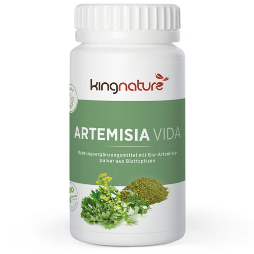 Artemisia Vida (Bio) - Cholestérol