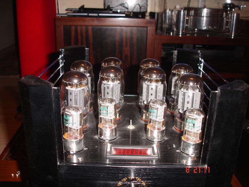 Antique Sound Labs  Hurricane DT mkII /  Tube Monoblock Amplifiers (230 volts)