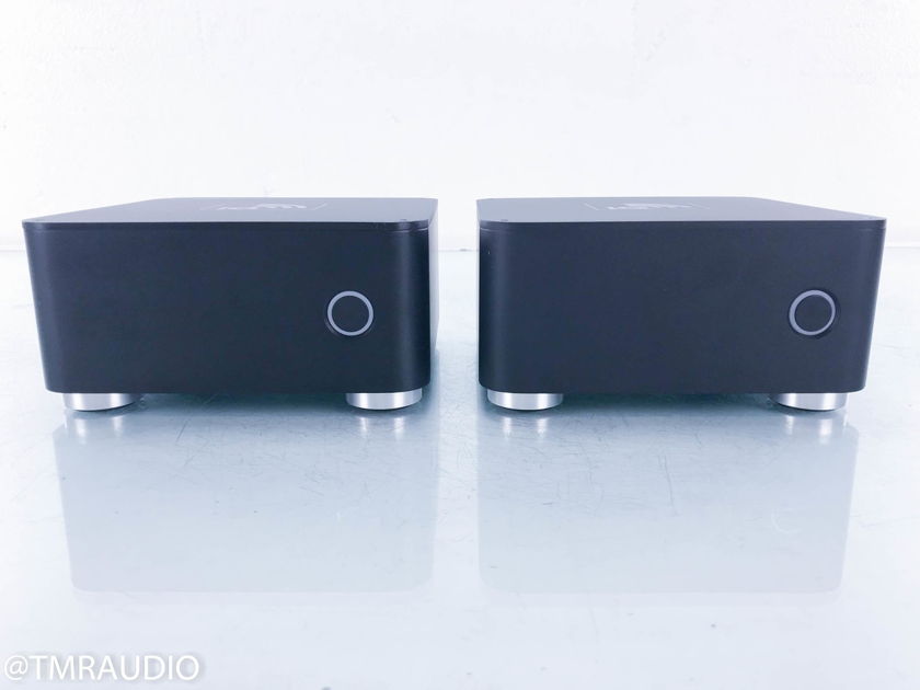 Blue Rose Audio IQ M300 Mono Power Amplifier Pair (13279)