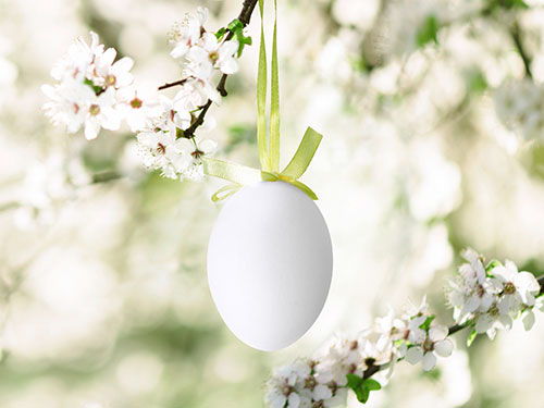 Outside Easter decorations for a stunning spring garden