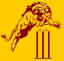 West Newport Cricket Club logo