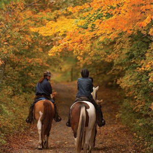 Horseback Riding On Our Honeymoon