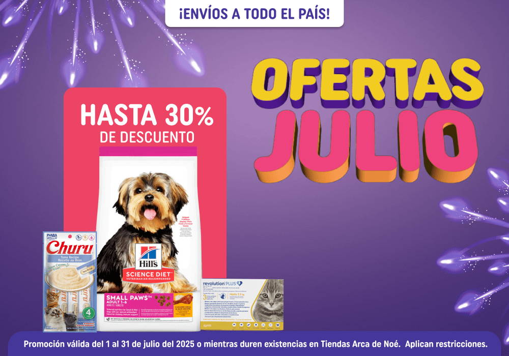 Ofertas Julio 2025