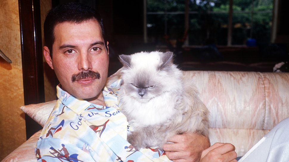 Freddie laying on his couch holding a cat who has its eyes closed.