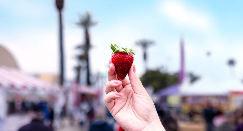 40th Annual California Strawberry Festival