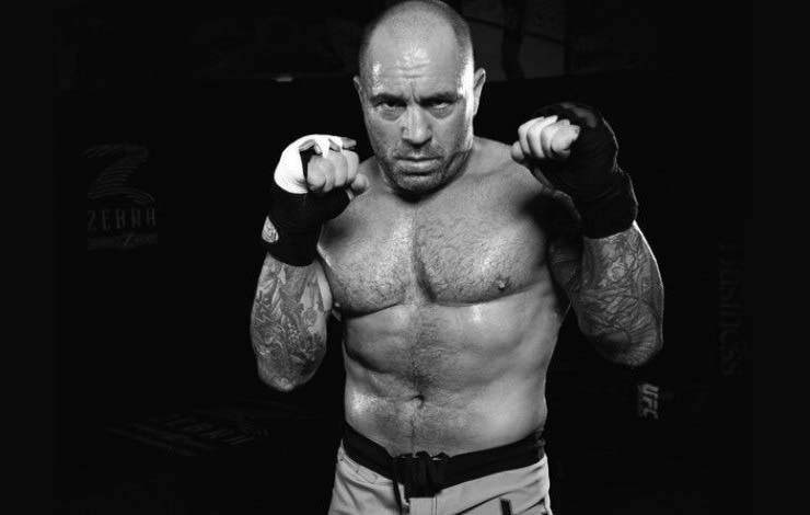 Joe Rogan Diamond MMA review